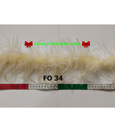 Ostrich 34 (FO 34)